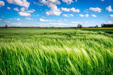 Plan objave natječaja iz Programa ruralnog razvoja do kraja 2021. godine